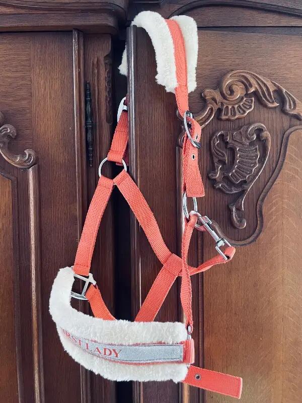 Tussen Particulieren - First Lady-halster, koraalkleurig, voor pony’s 2/4