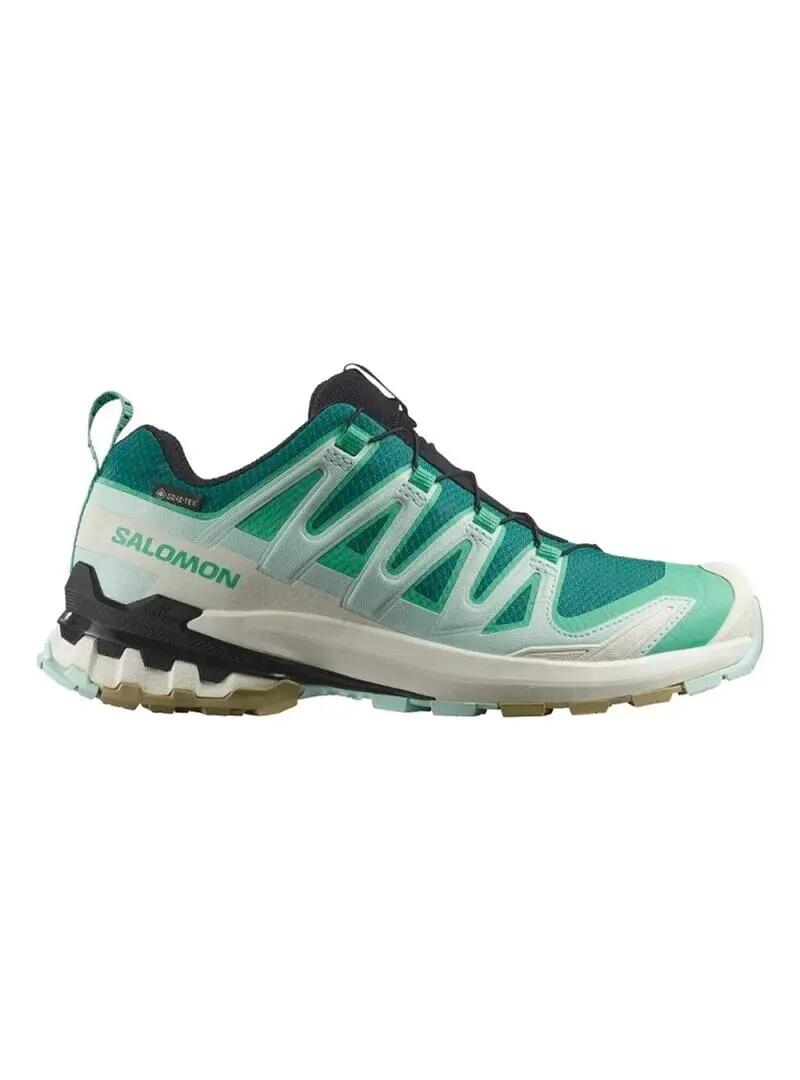 SALOMON picture