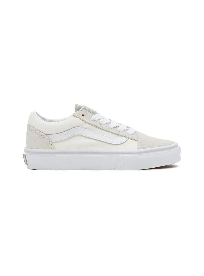 VANS picture