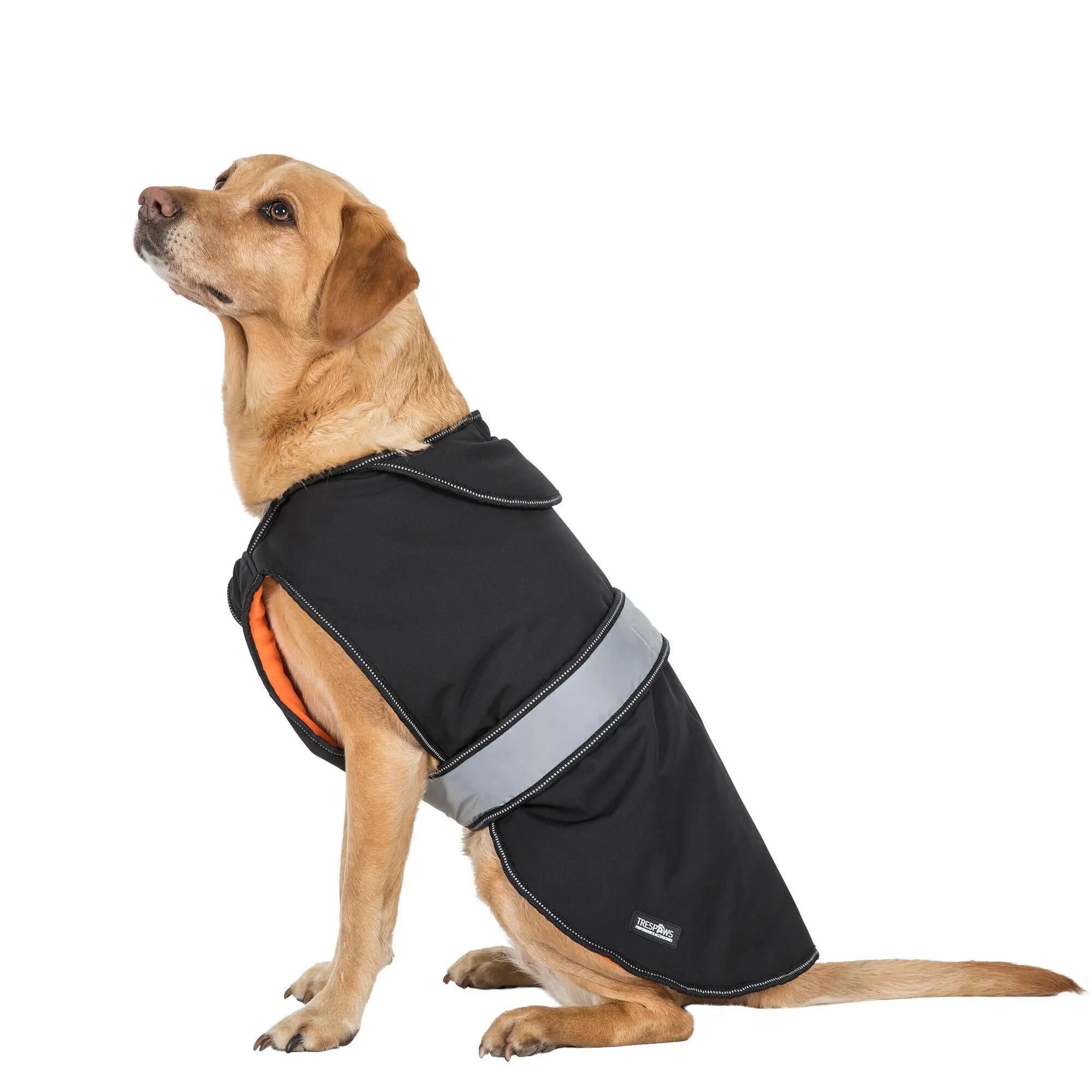 Trespass Butch Touch Fastening Softshell Dog Jacket