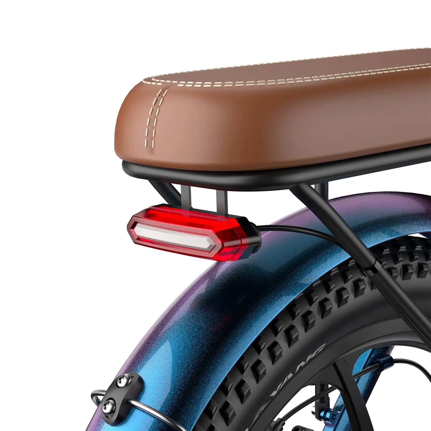 Bicyclette électrique pour adulte Fafrees F20 Pro, batterie 36V 20Ah 13/15