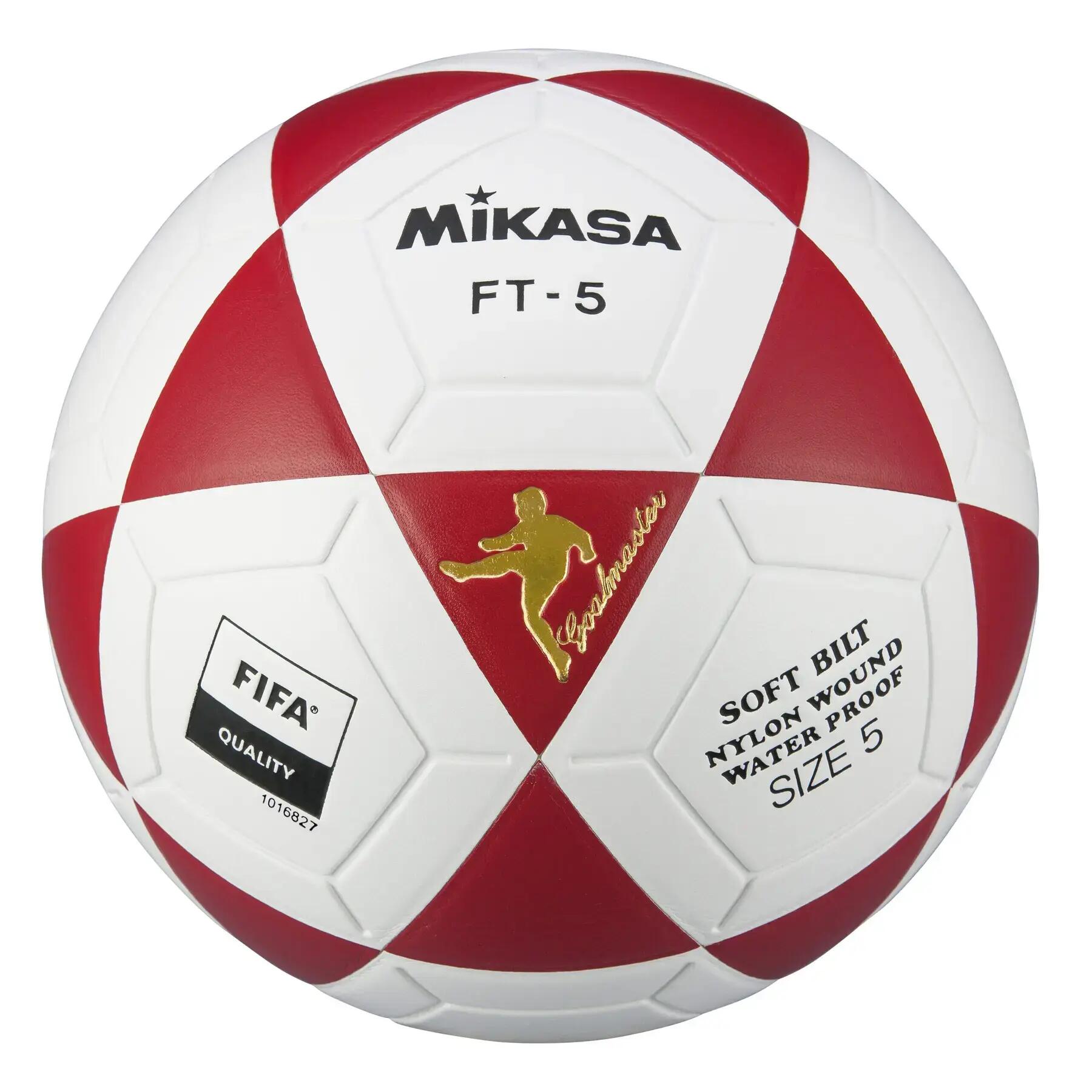 MIKASA picture