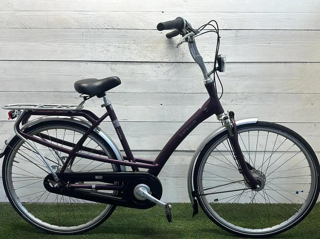 BATAVUS picture