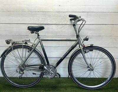 Tweedehands gazelle riacho