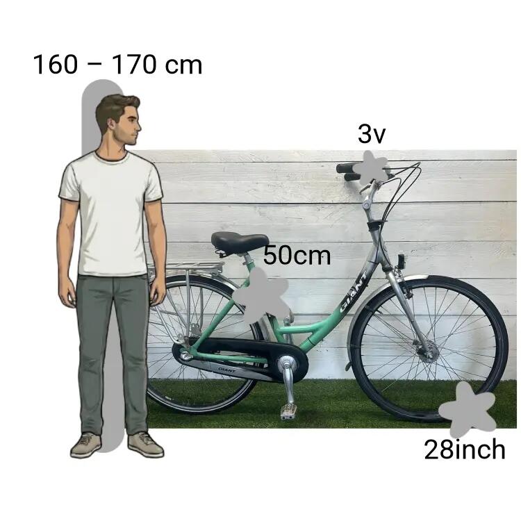 Bicicletta usata Giant Metro CS4 2/4