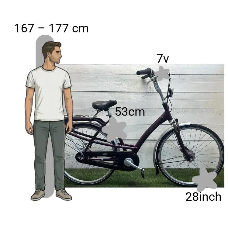 Bicicletta usata Batavus Mambo 2/4