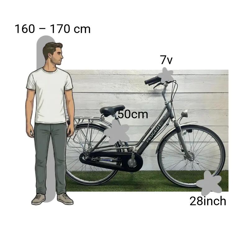 Vélo d’occasion Peugeot Deauvilie 2/4