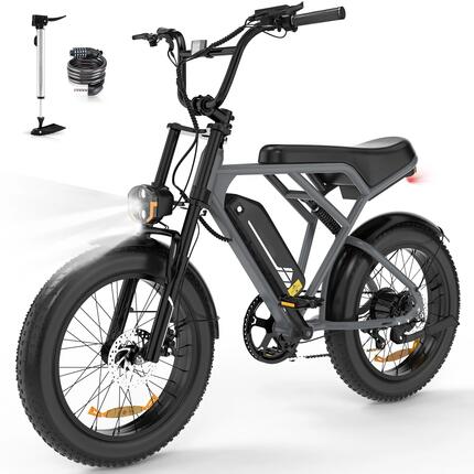 Elektrische Fatbike 20" x 4.0 250W 36V 12Ah afneembare accu
