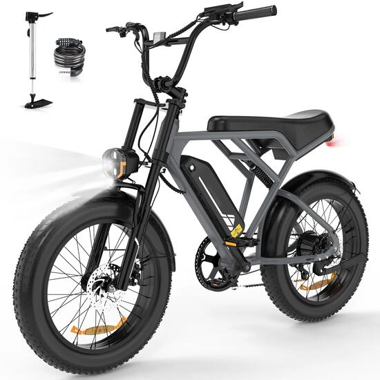 Elektrische Fatbike 20" x 4.0 250W 36V 12Ah afneembare accu