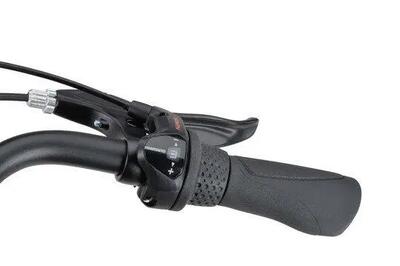 Batavus fonk 3, shimano nexus, zwart