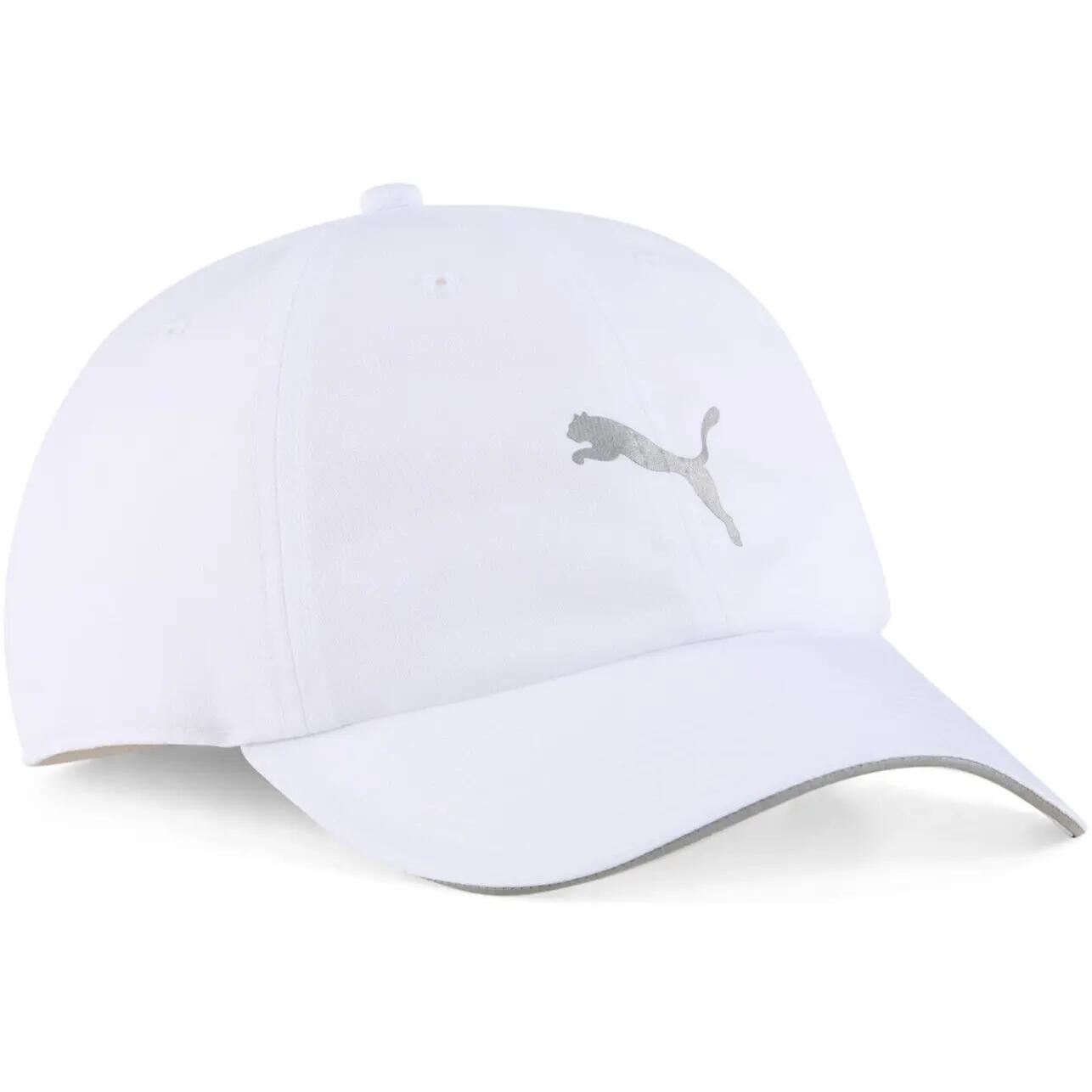 PUMA picture