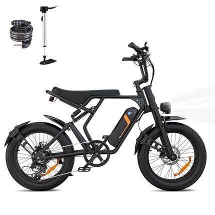 Elektrische Fat Bike 20 inch, E-Bike All Terrain, 20x4.0 Banden