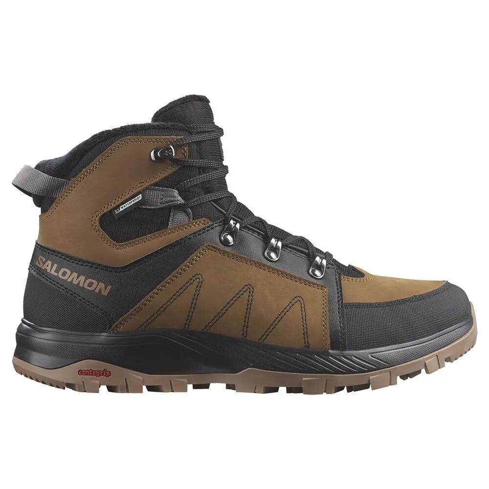 SALOMON picture