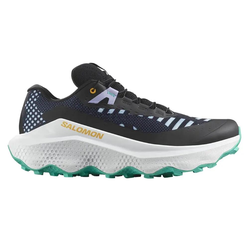 SALOMON picture