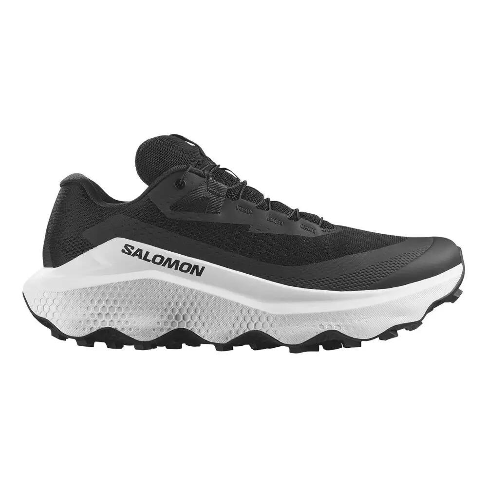 SALOMON picture