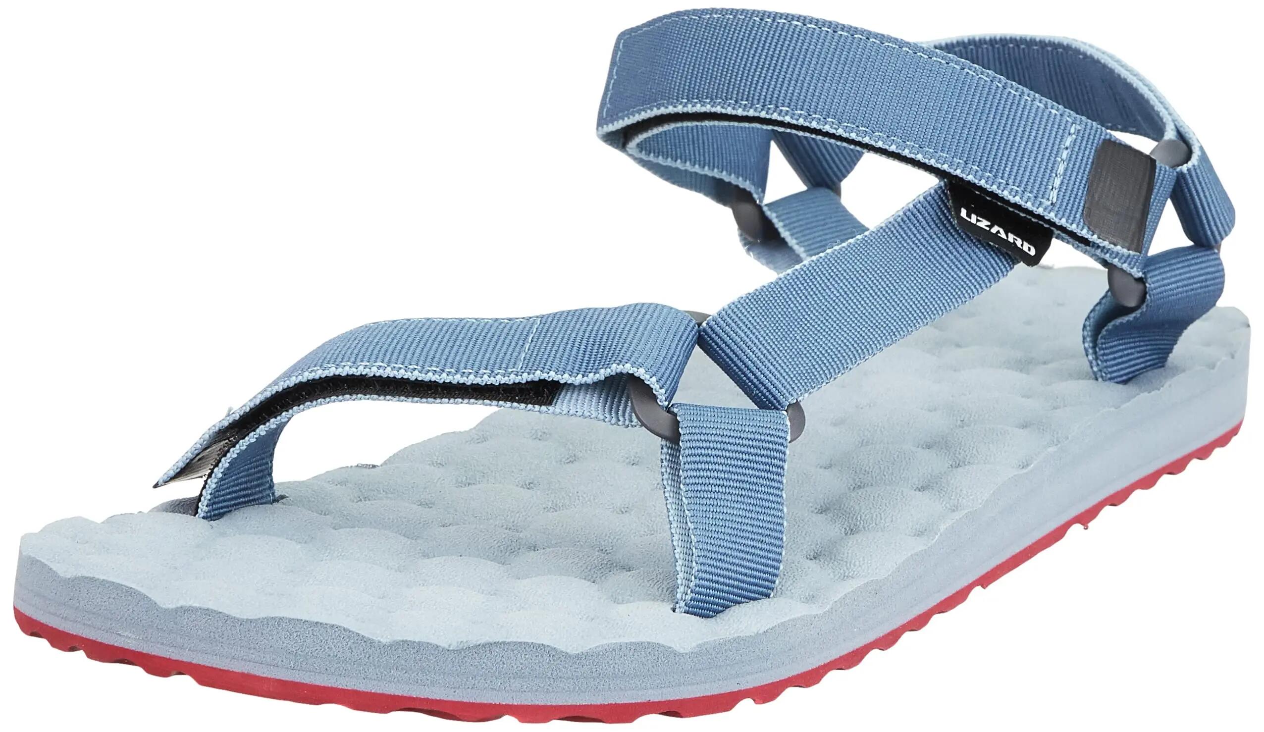LIZARD picture