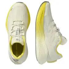 SALOMON picture