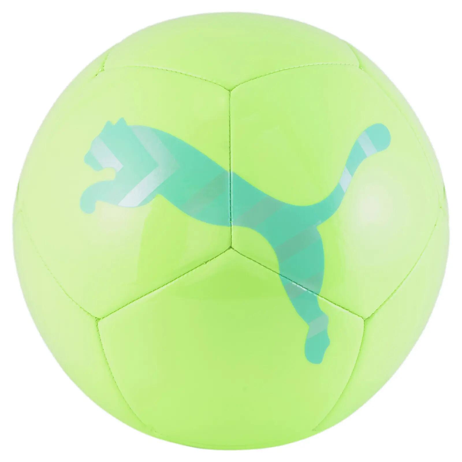 PUMA picture