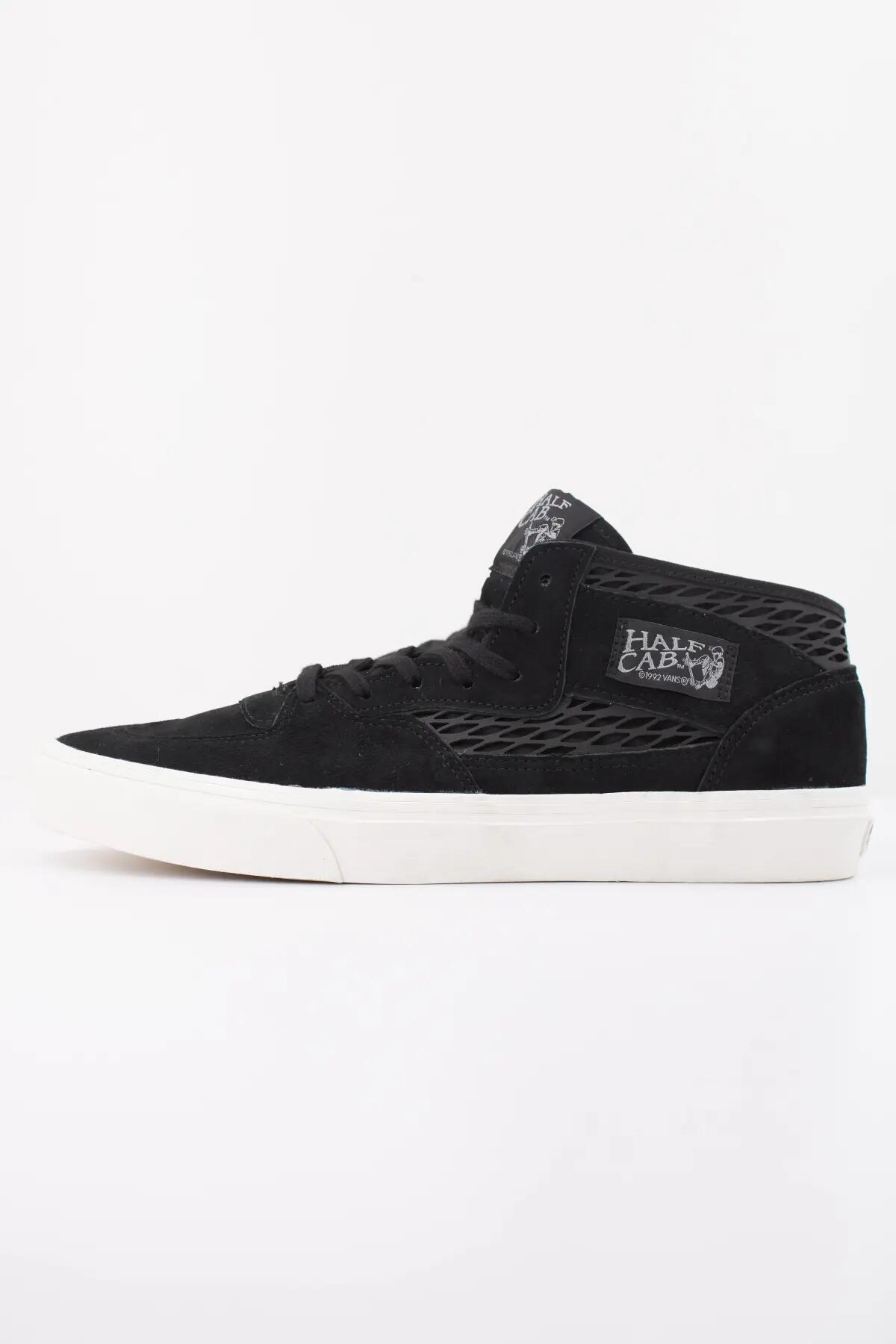 VANS picture