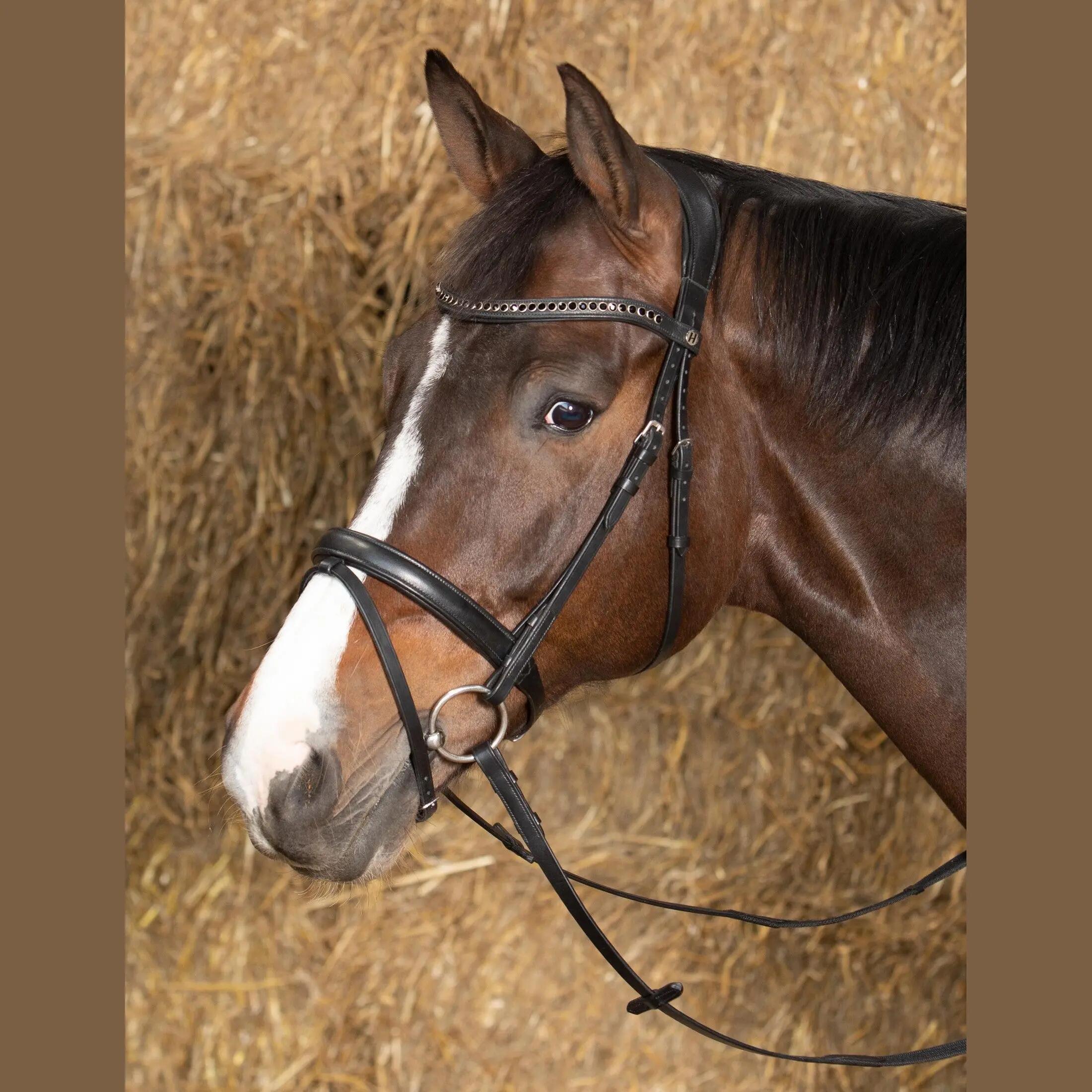 HARRYS HORSE picture