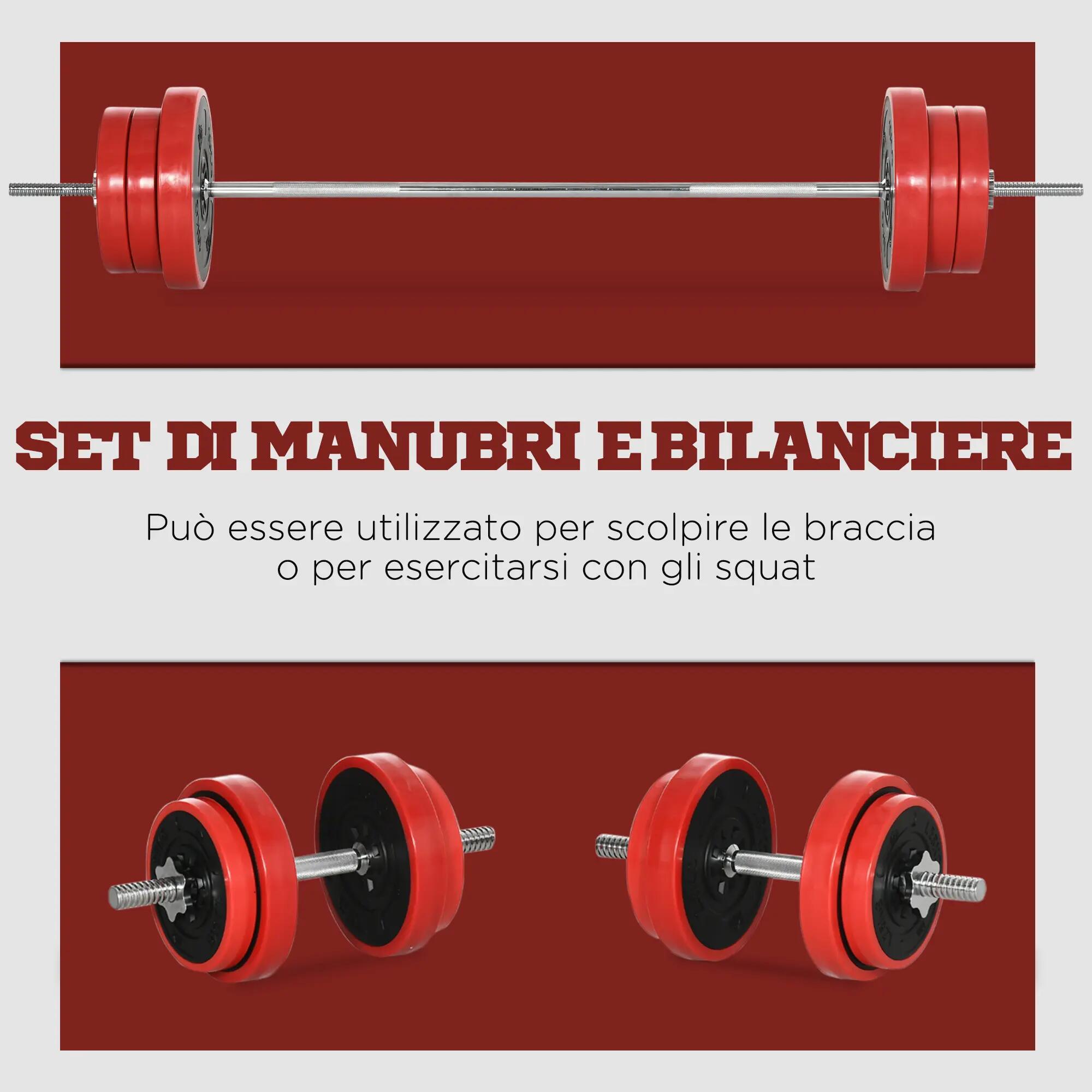 Ensemble haltères et disques, 65 kg au total, pour entraînement à domicile, en m 6/9