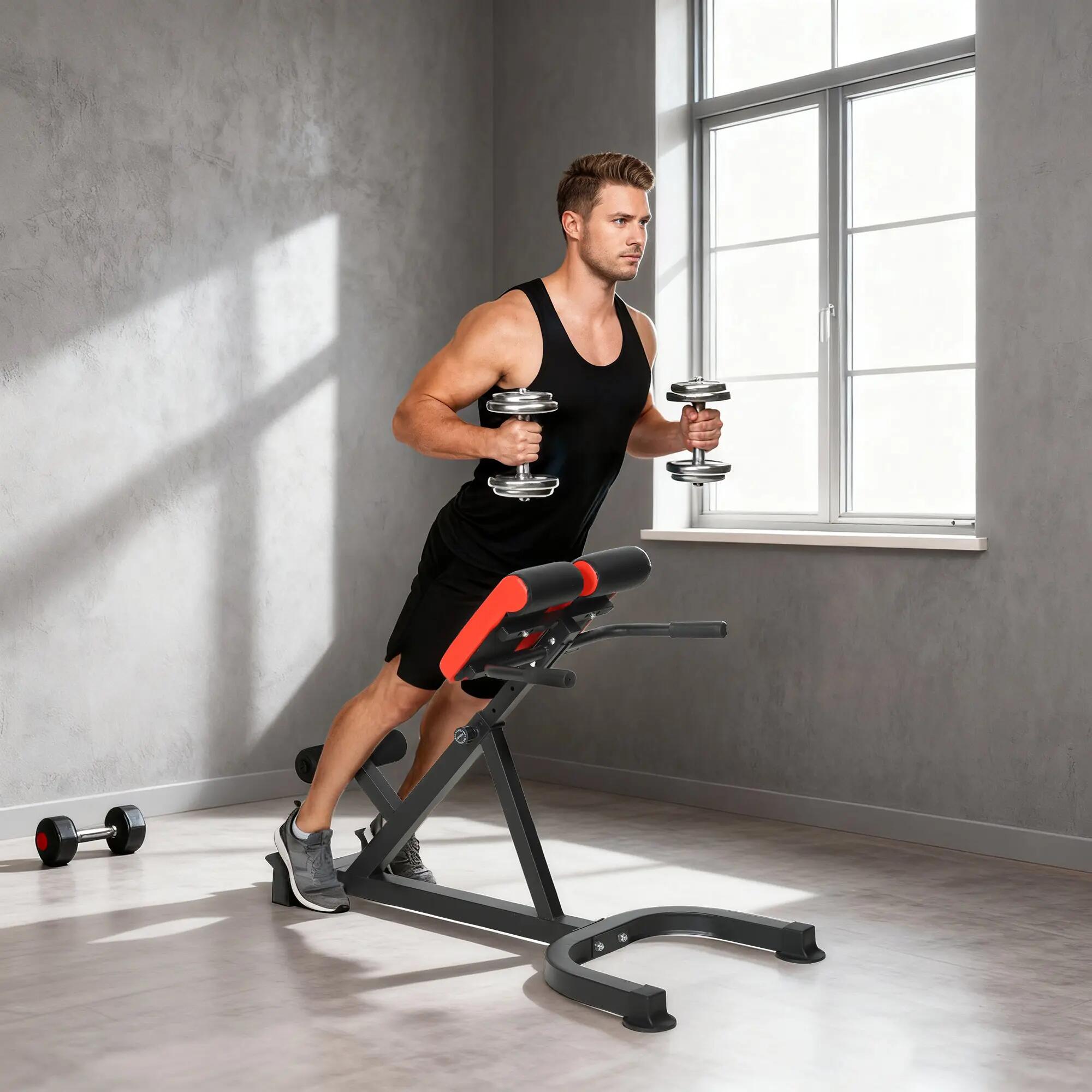 Banc de Musculation Réglable 5 Niveaux, Chaise Romaine avec Rouleaux en Mousse D 3/9