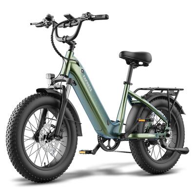Volwassen elektrische fiets f20 rover, 48v 20ah accu, 20" × 4,0" banden.