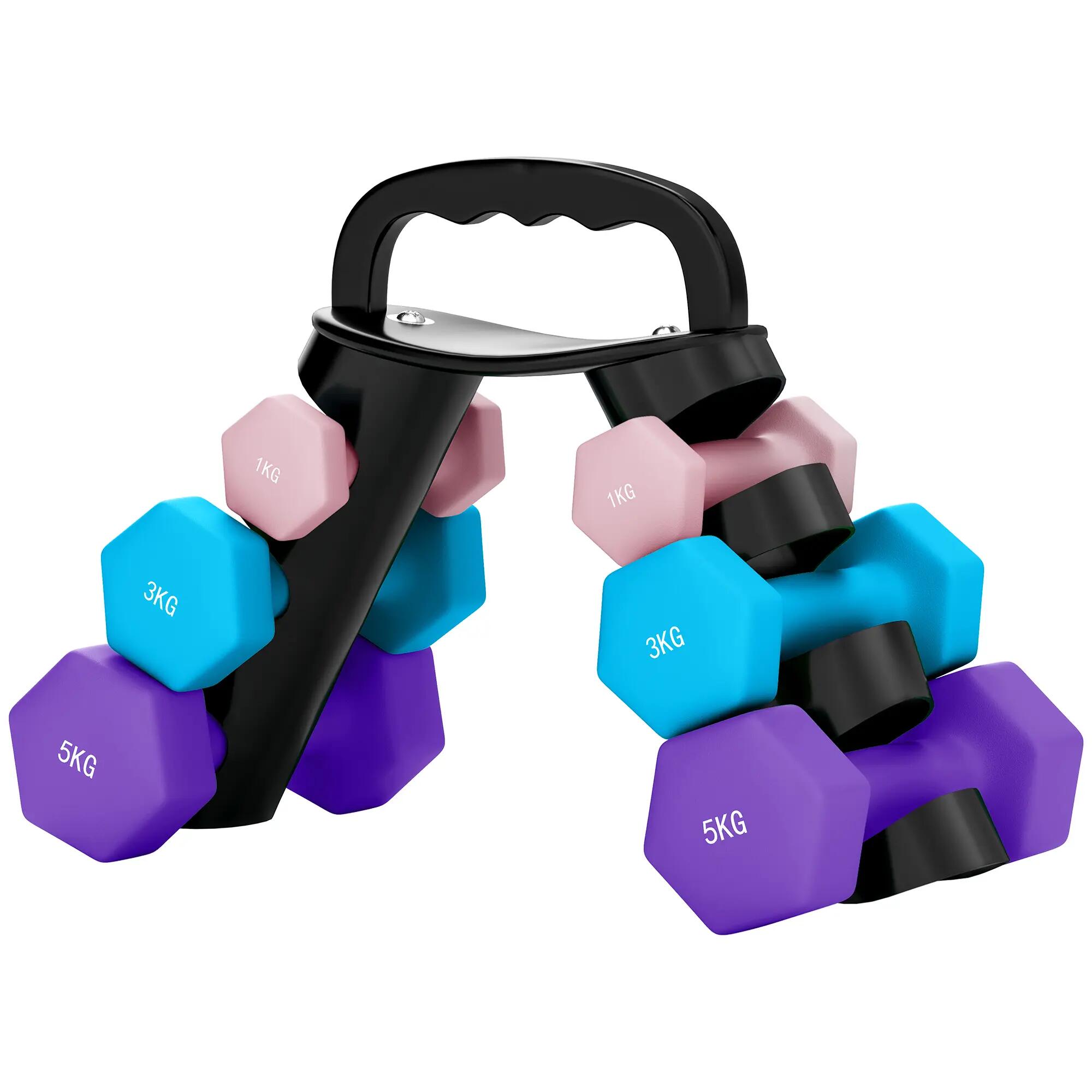 Ensemble d'haltères avec support de rangement, comprenant 6 haltères pour l'entr 2/9