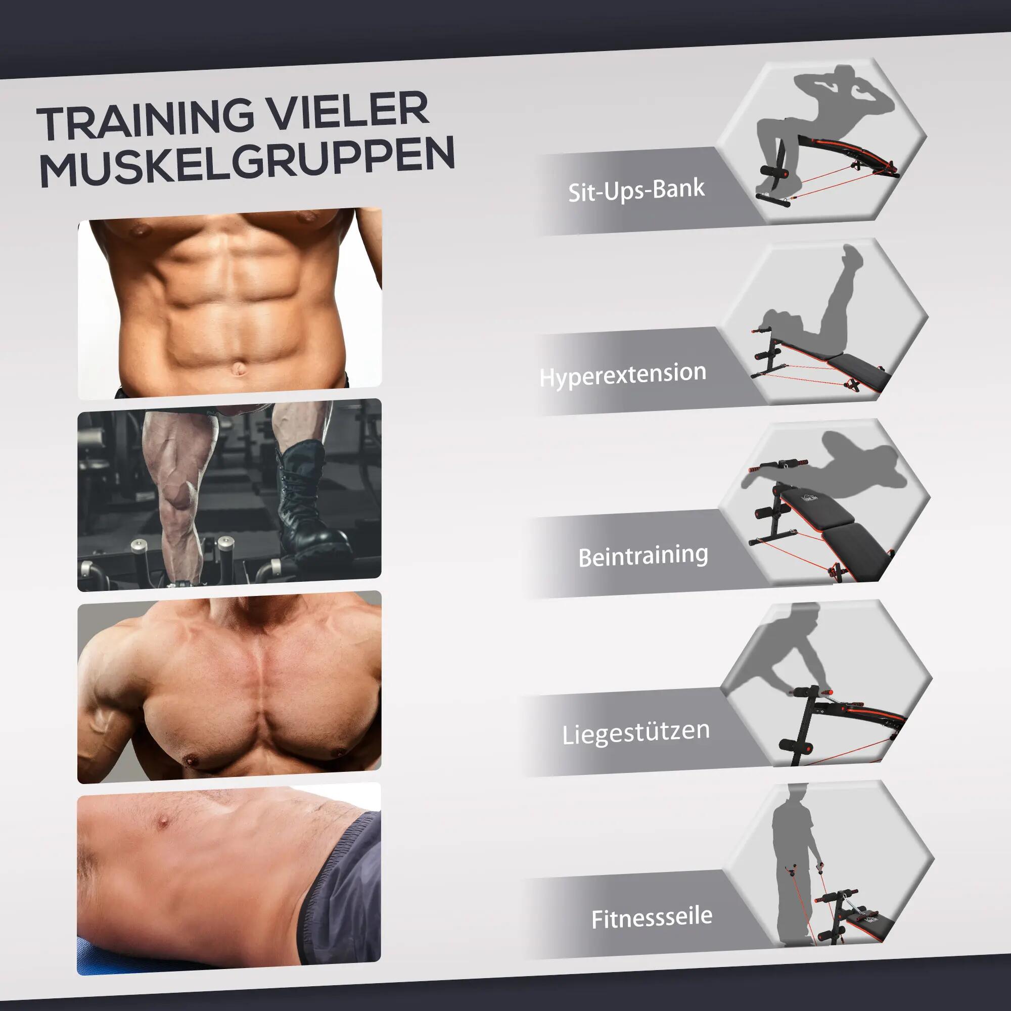 Banc de musculation abdominale avec cordes élastiques, banc d'exercice multifonc 6/9