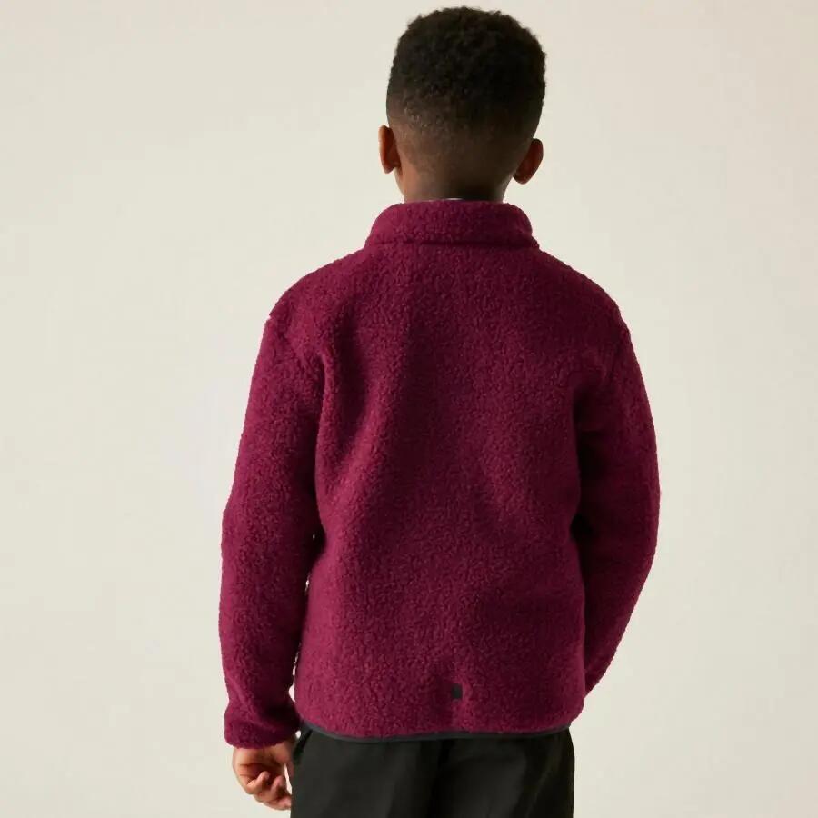 Chaqueta polar infantil Regatta Frankie Warm 3/7