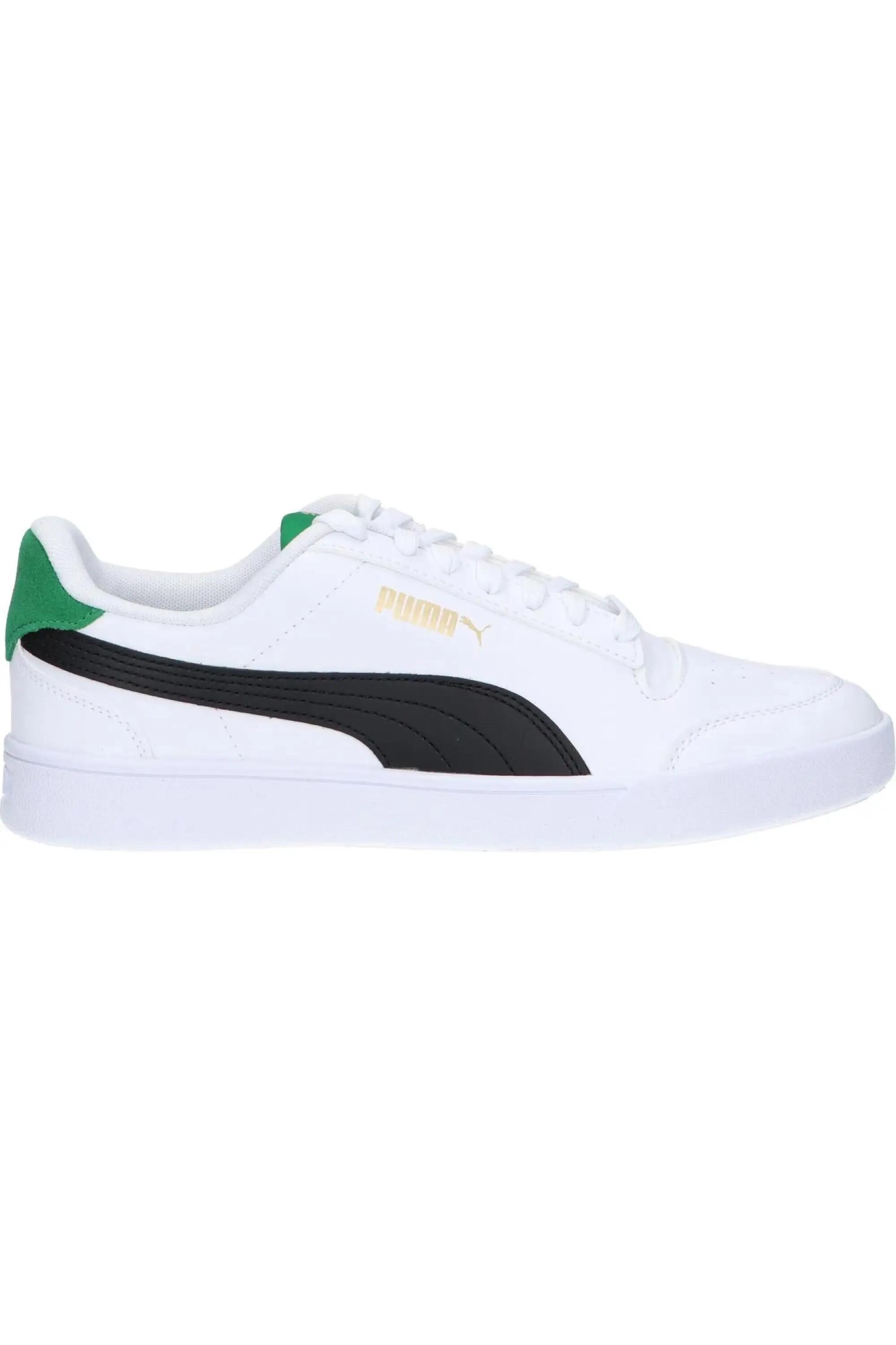 PUMA picture