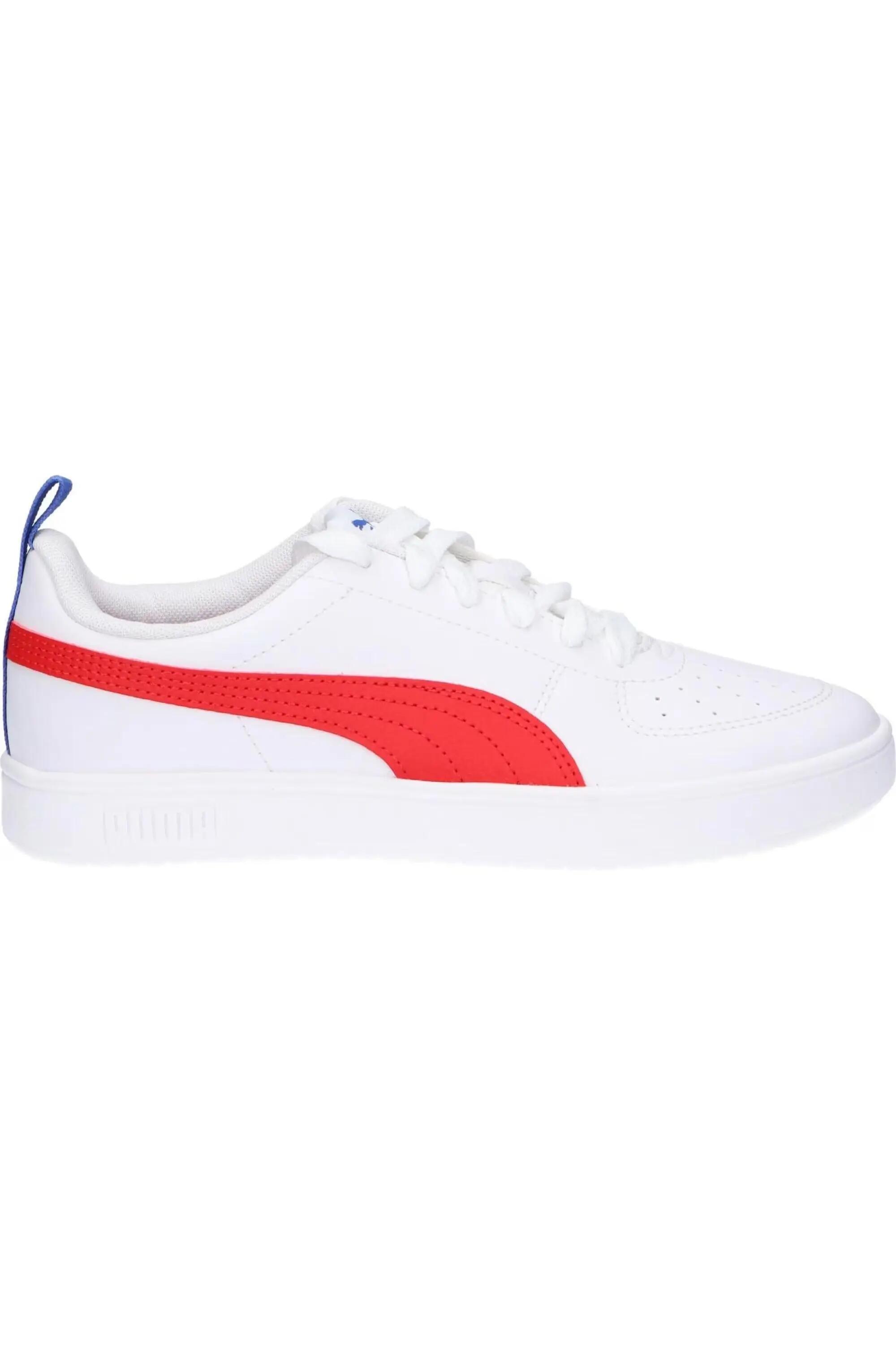 PUMA picture