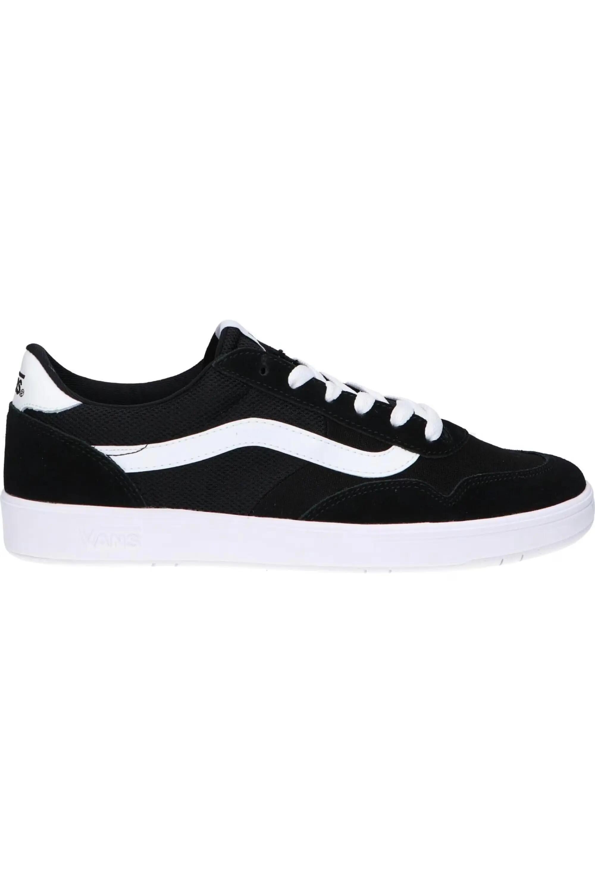 VANS picture