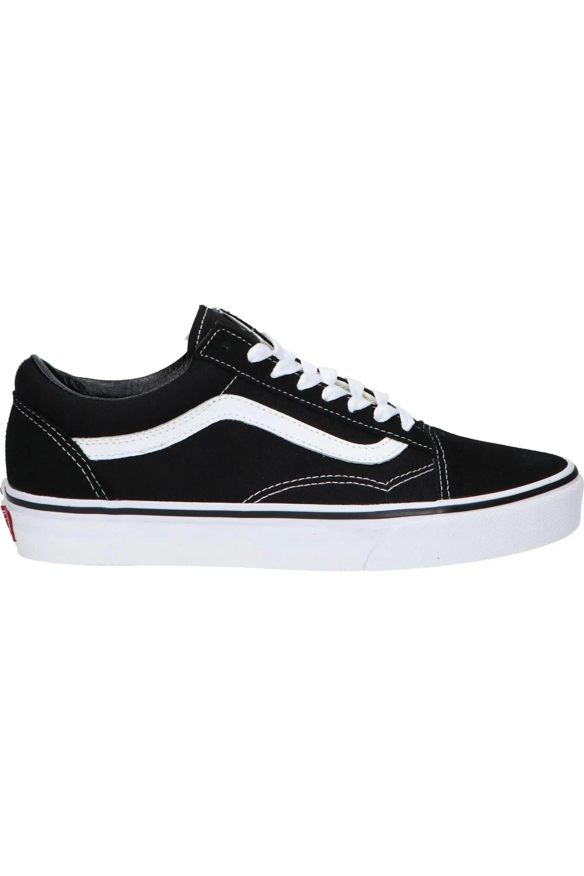 VANS picture