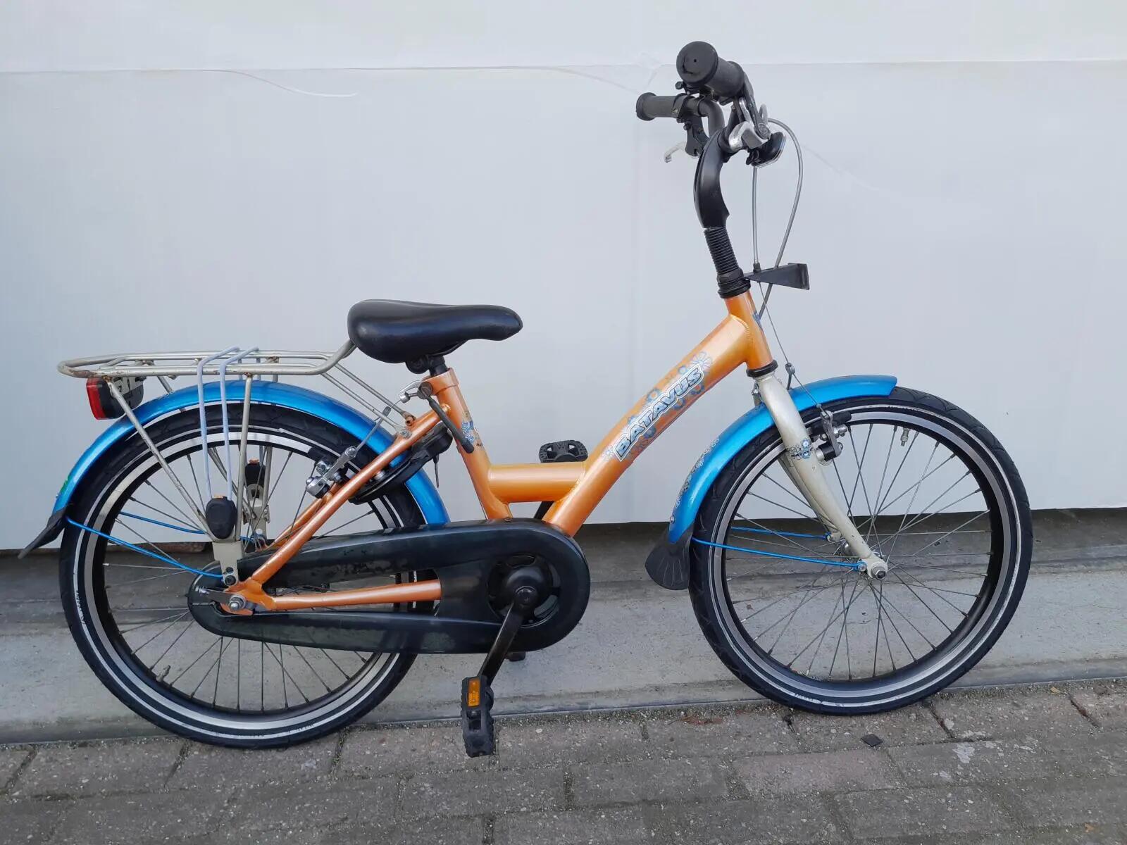 BATAVUS picture