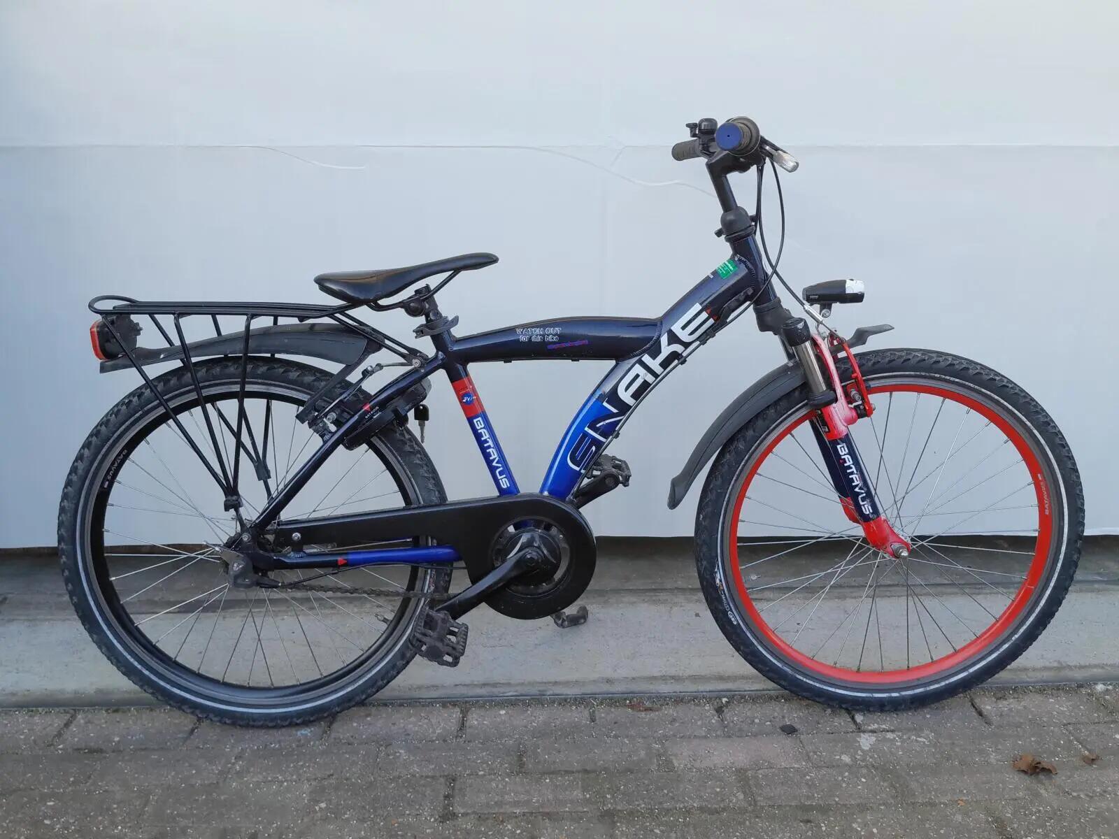 BATAVUS picture