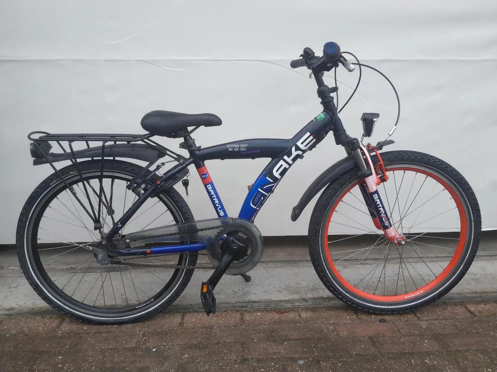 BATAVUS picture