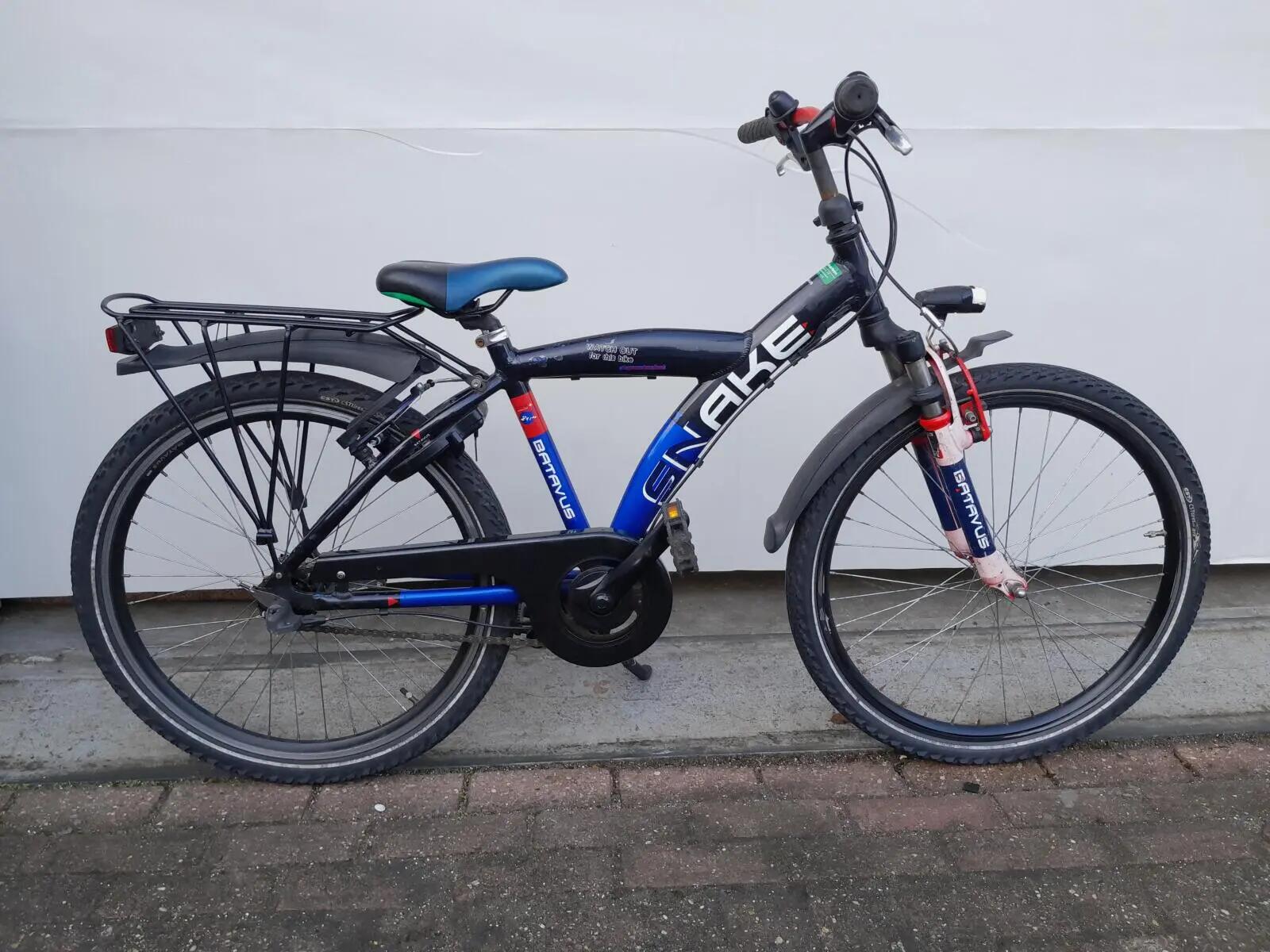 BATAVUS picture
