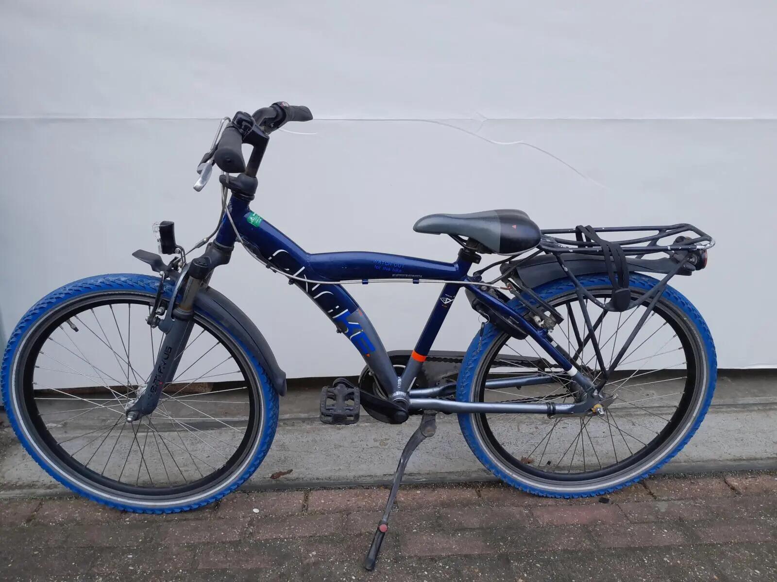 Second Life - Gereviseerd Batavus Snake 4/5