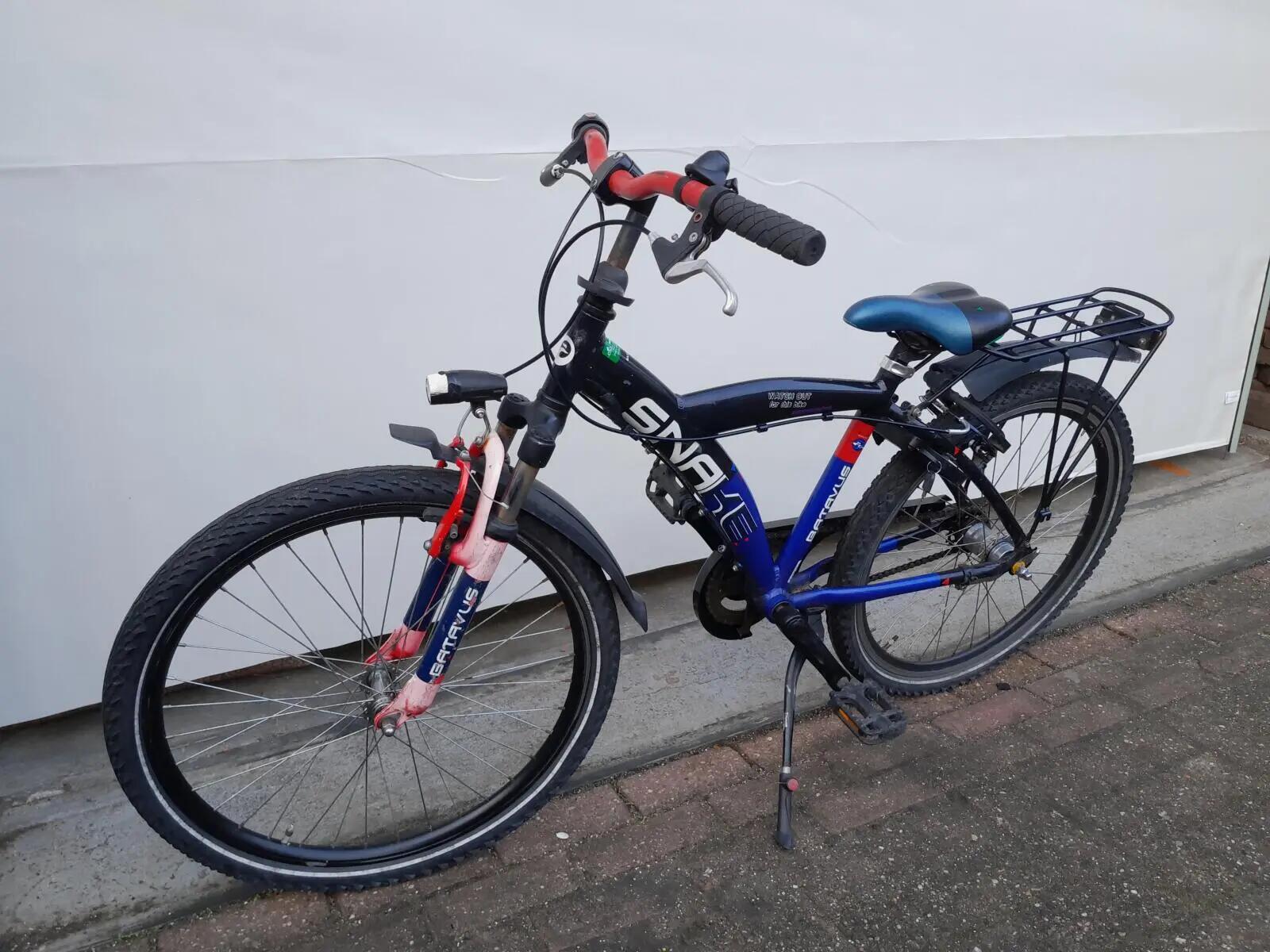 Second Life - Gereviseerd Batavus Snake 4/5