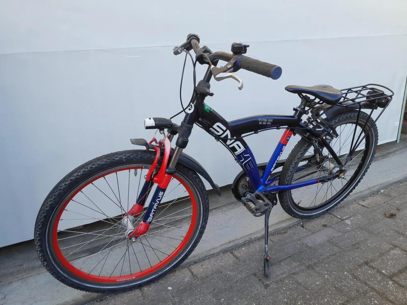 Second Life - Gereviseerd Batavus Snake 3/5