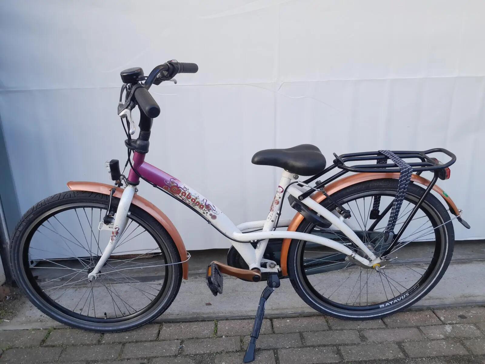 Second Life - Gereviseerd Batavus Gabana 3/5