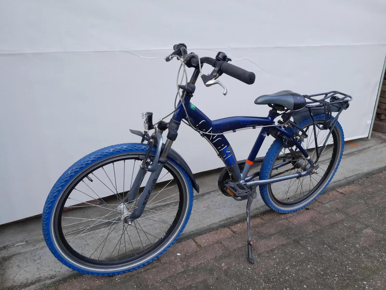 Second Life - Gereviseerd Batavus Snake 3/5
