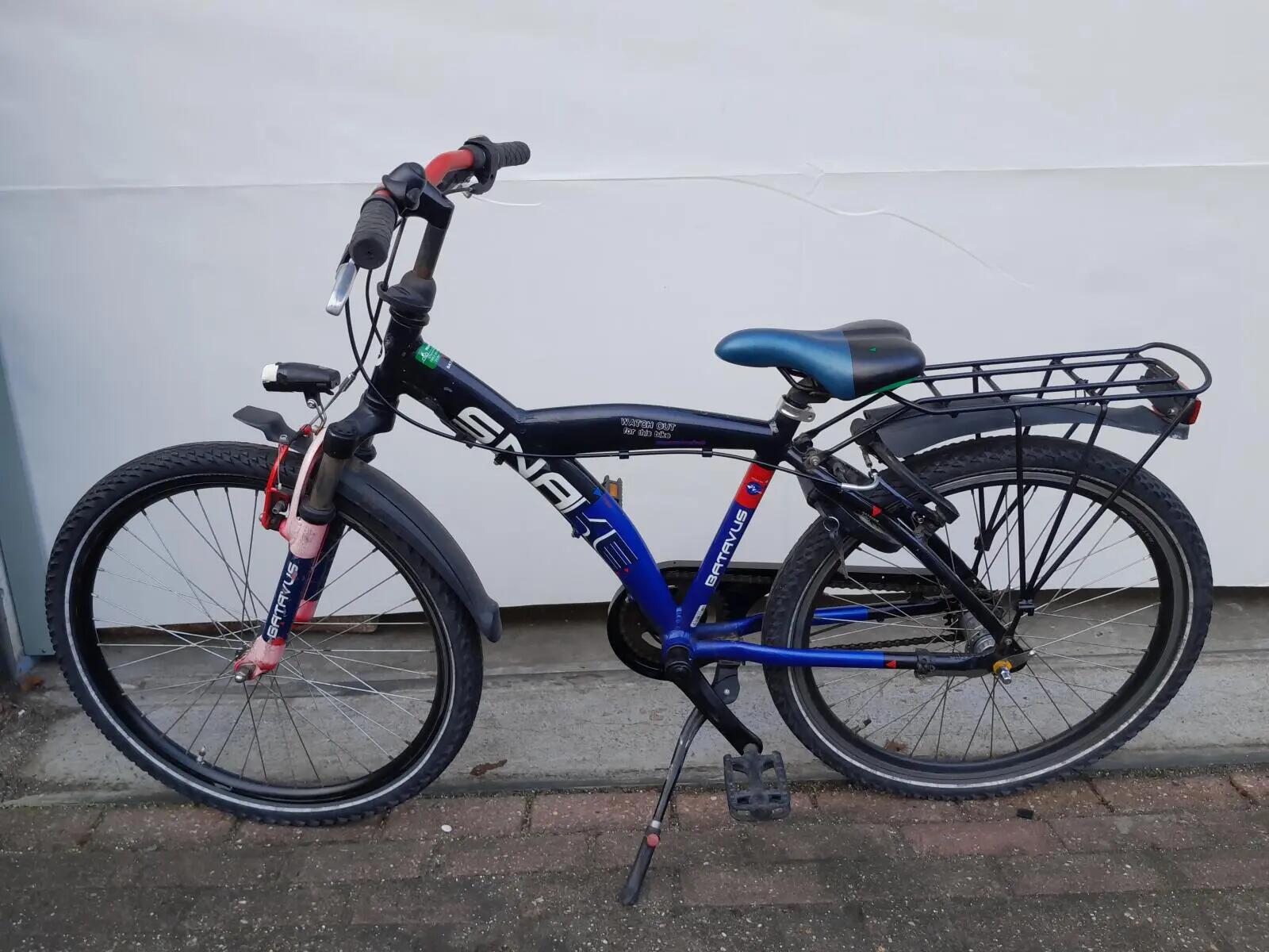 Second Life - Gereviseerd Batavus Snake 3/5