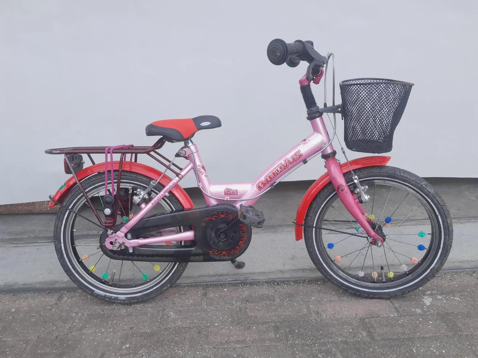 BATAVUS picture