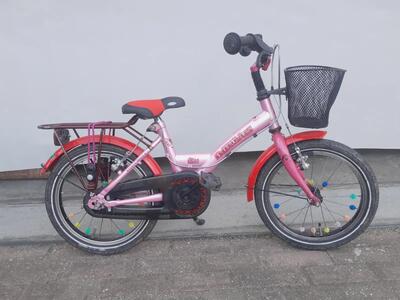 Batavus koala
