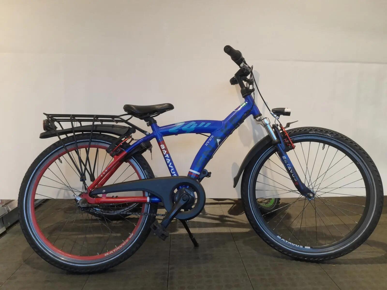 BATAVUS picture