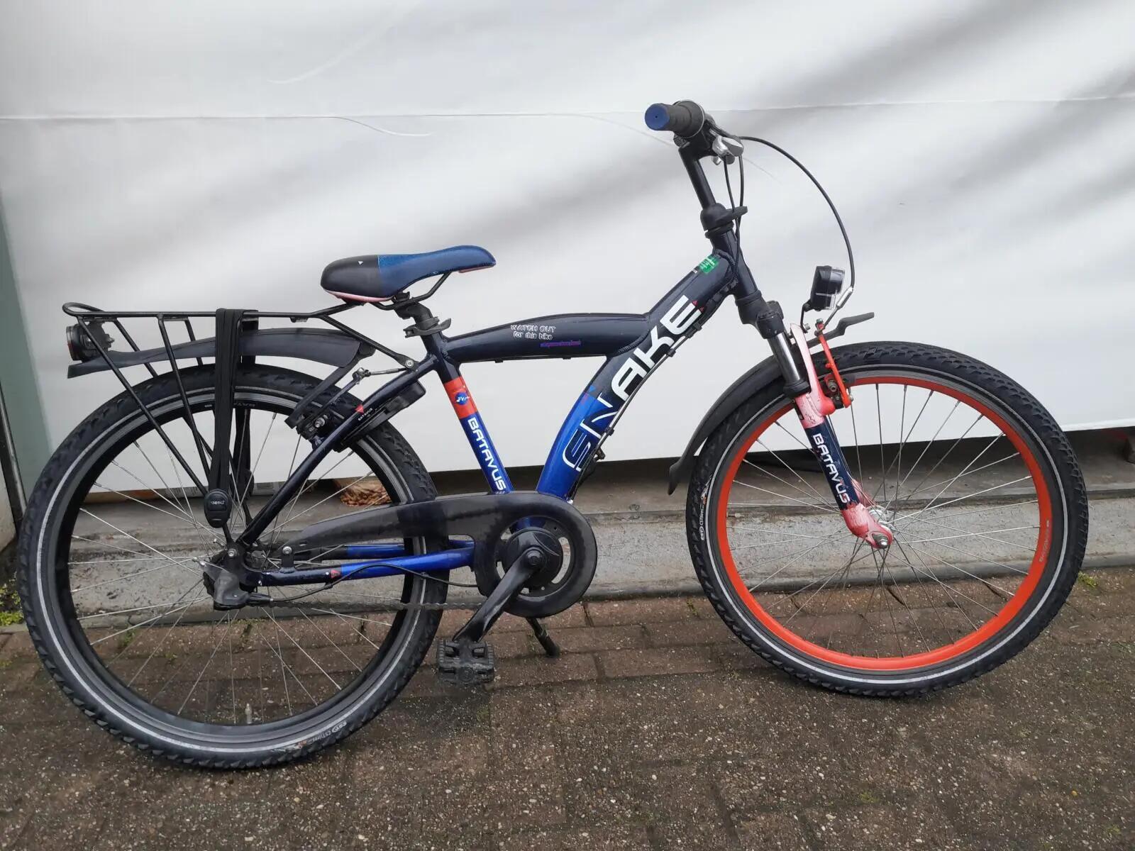 BATAVUS picture