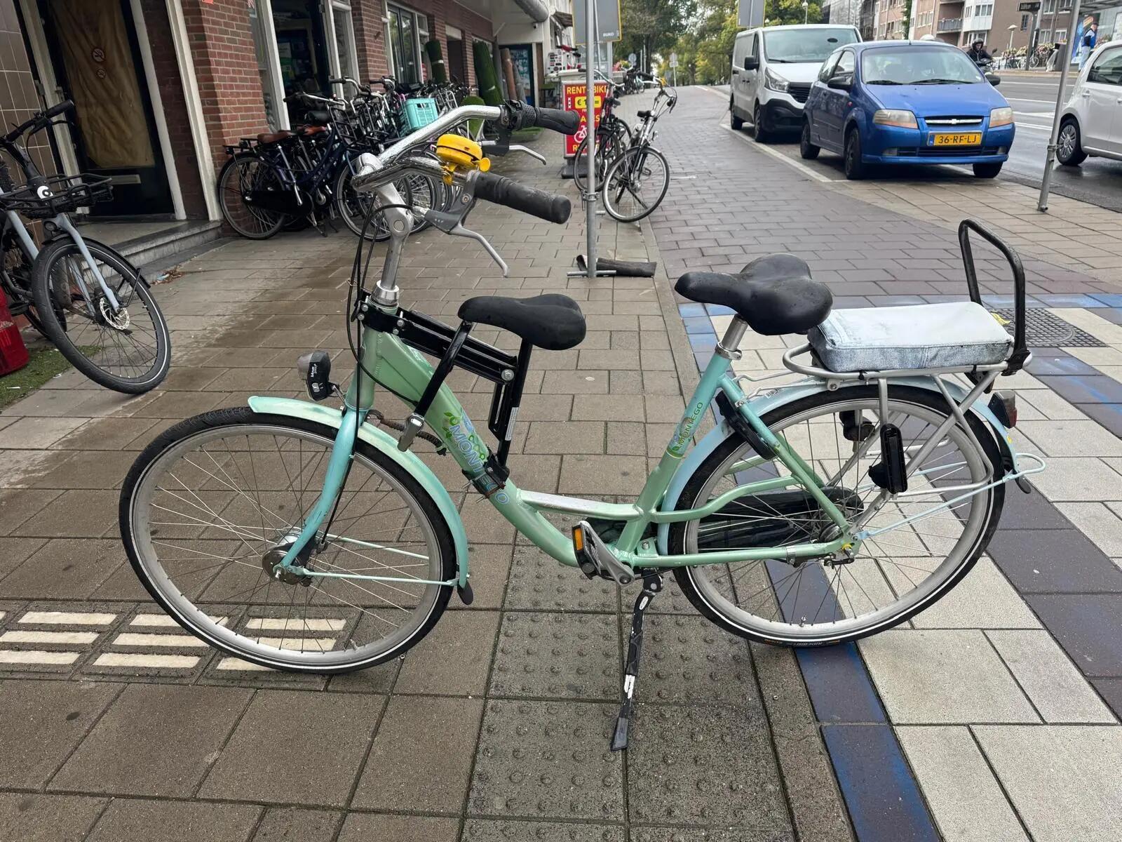 Montego Liberty, Dynamo, groen 5/5