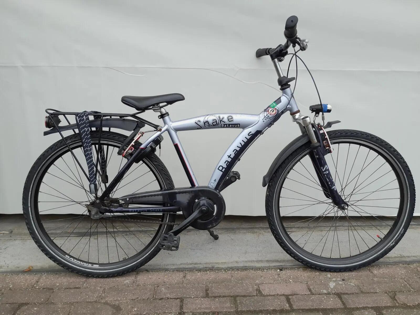BATAVUS picture